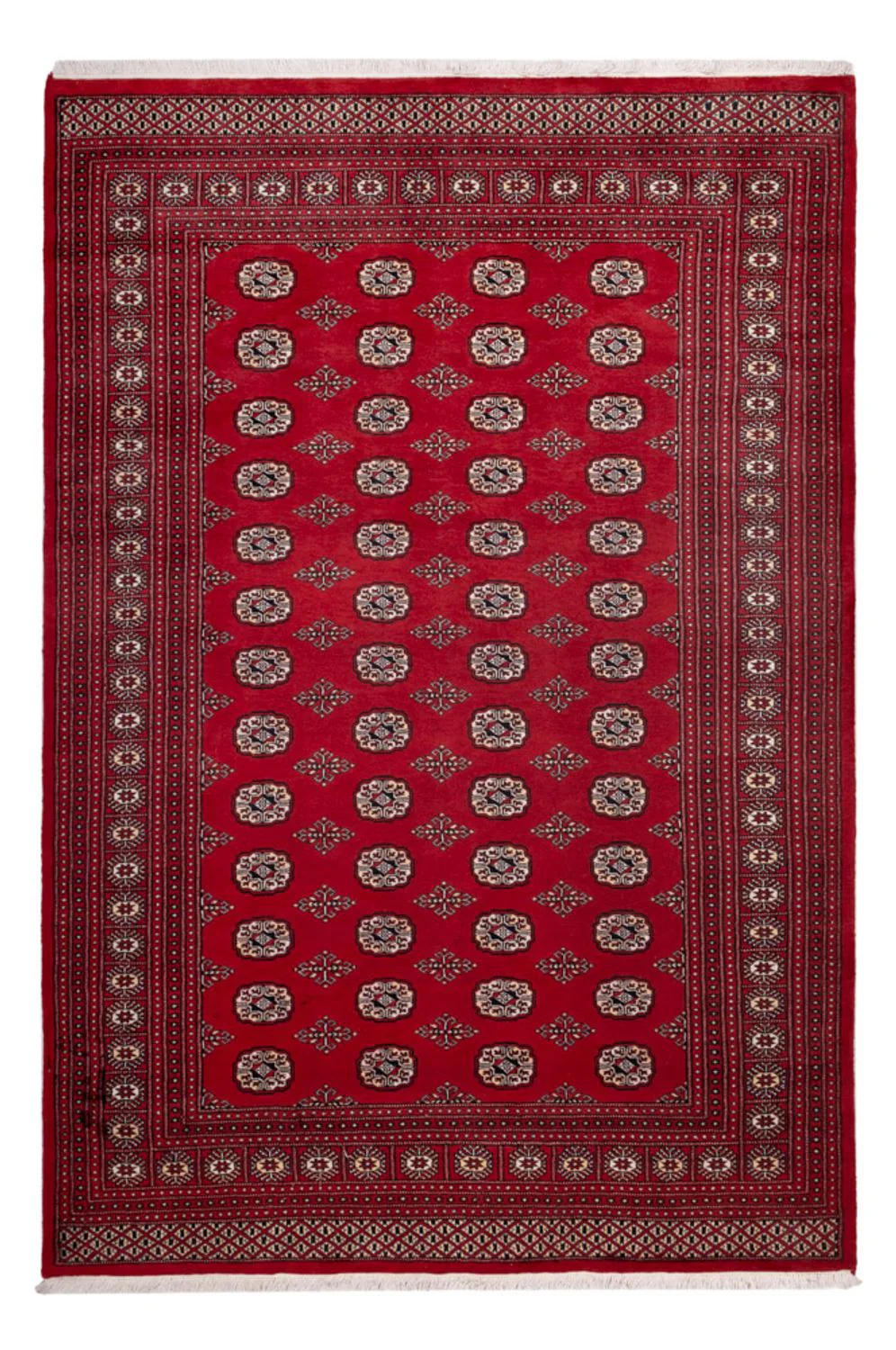 Buchara Teppich 290x200cm - Orientteppich