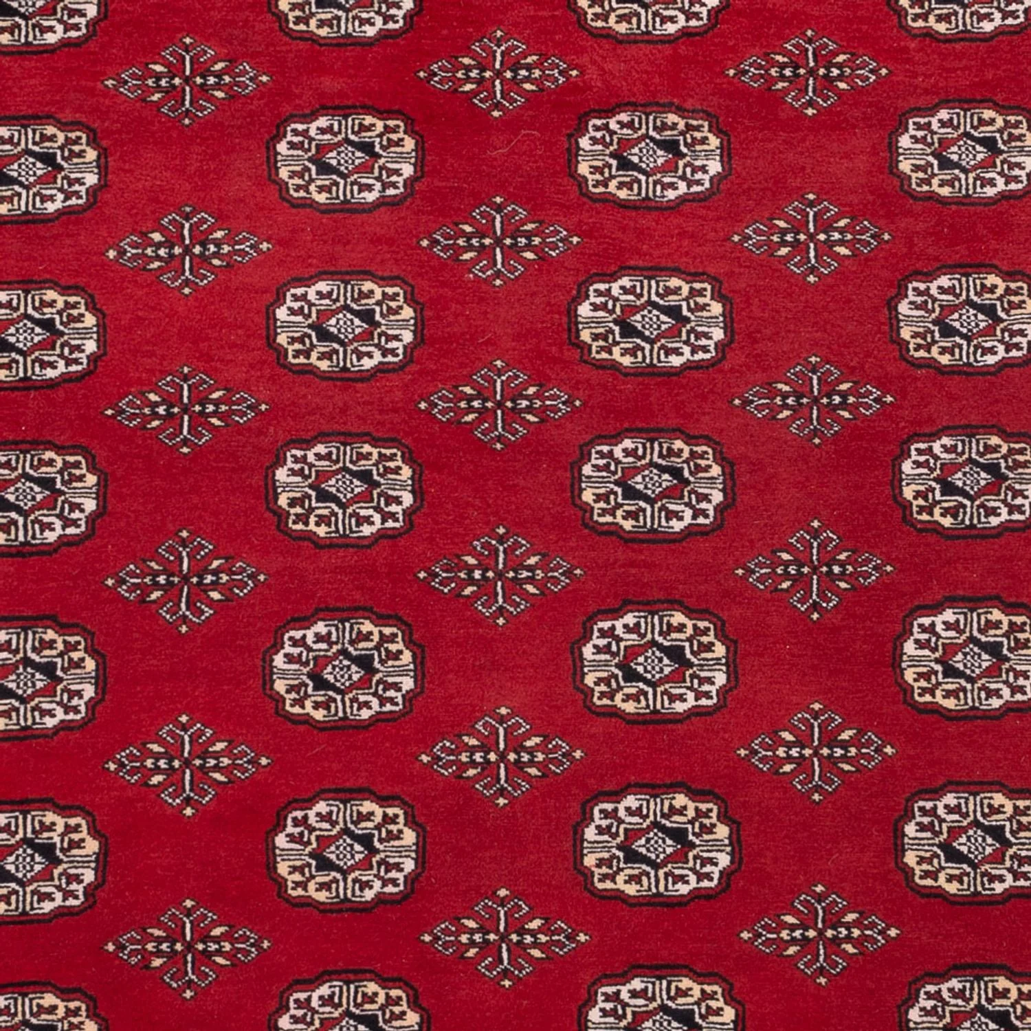 Buchara Teppich 290x200cm - Orientteppich - Image 2