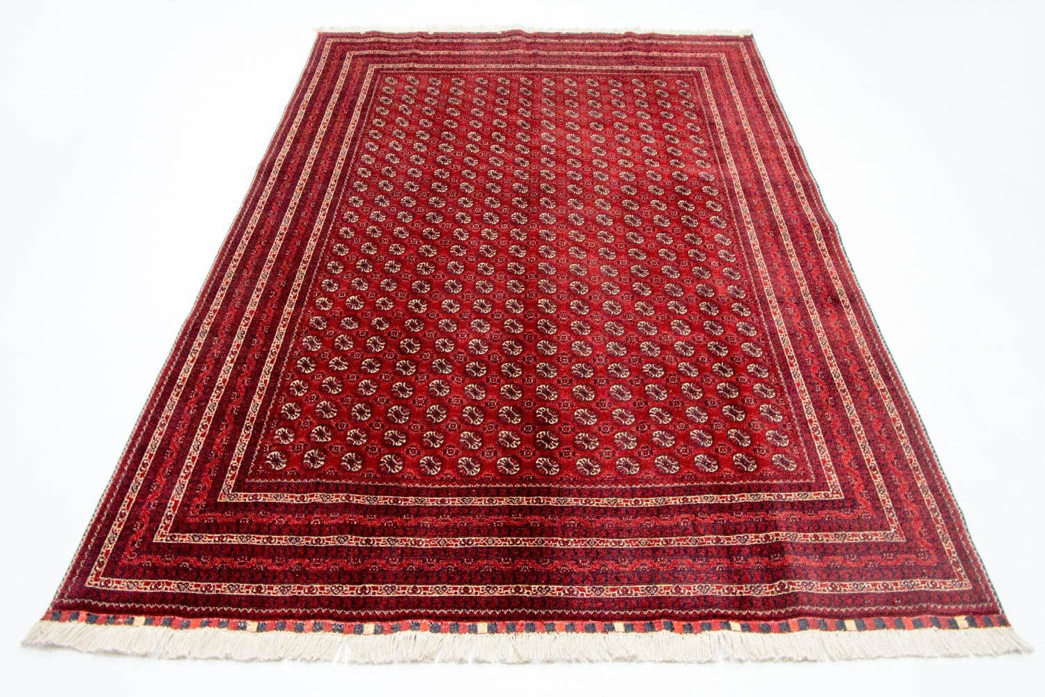 Buchara Teppich 300x195cm - Orientteppich - Image 5