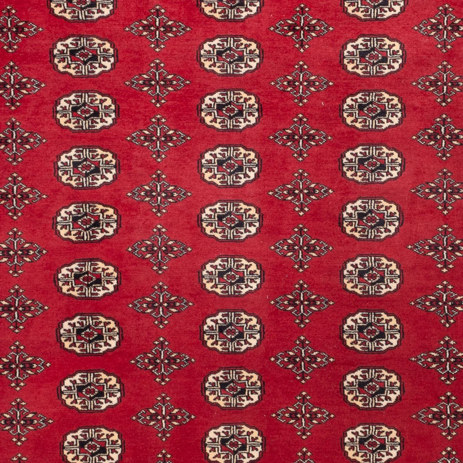 Buchara Teppich 309x248cm - Orientteppich - Image 2
