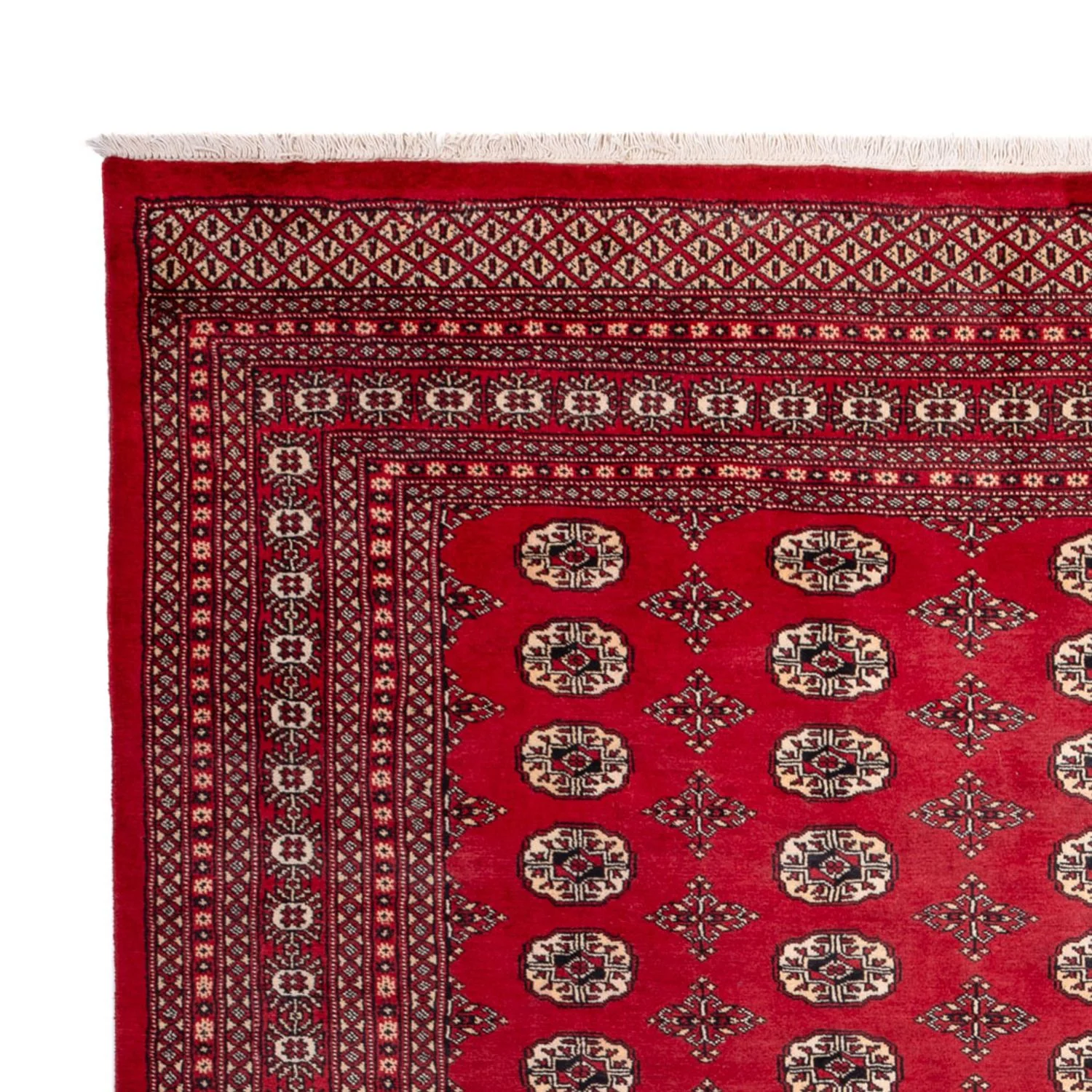 Buchara Teppich 309x248cm - Orientteppich - Image 3