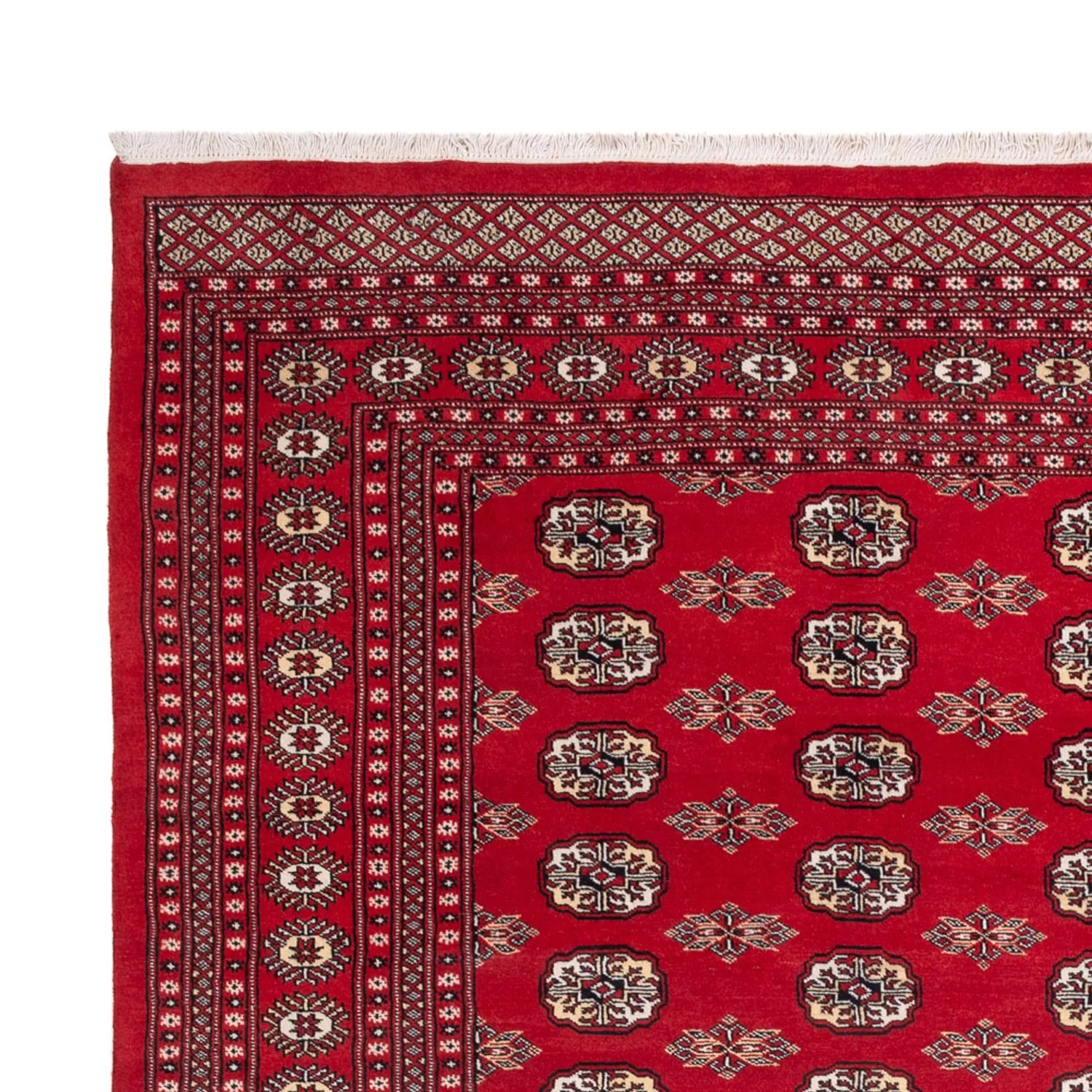 Buchara Teppich 314x243cm - Orientteppich - Image 3