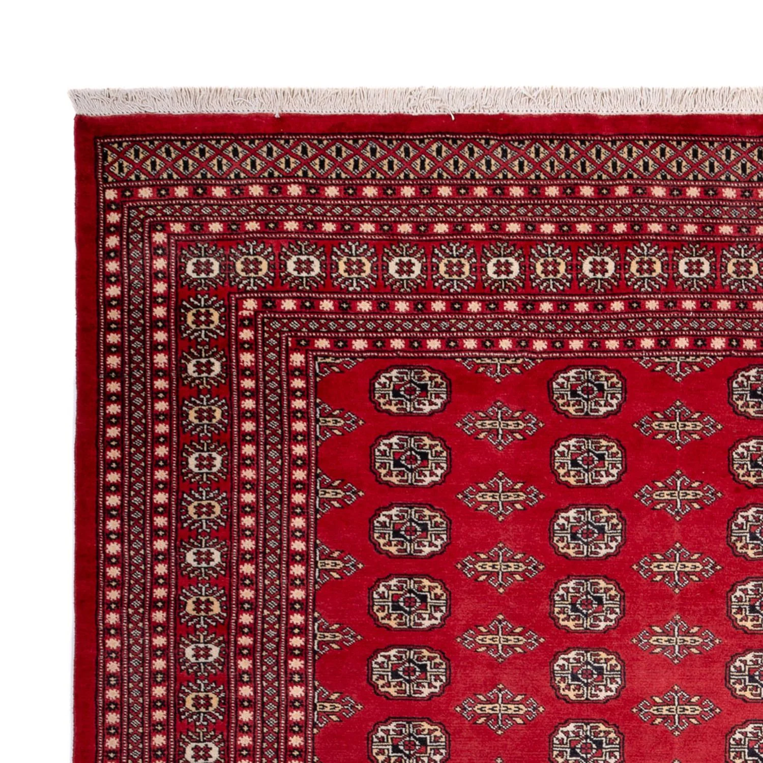 Buchara Teppich 315x248cm - Orientteppich - Image 3