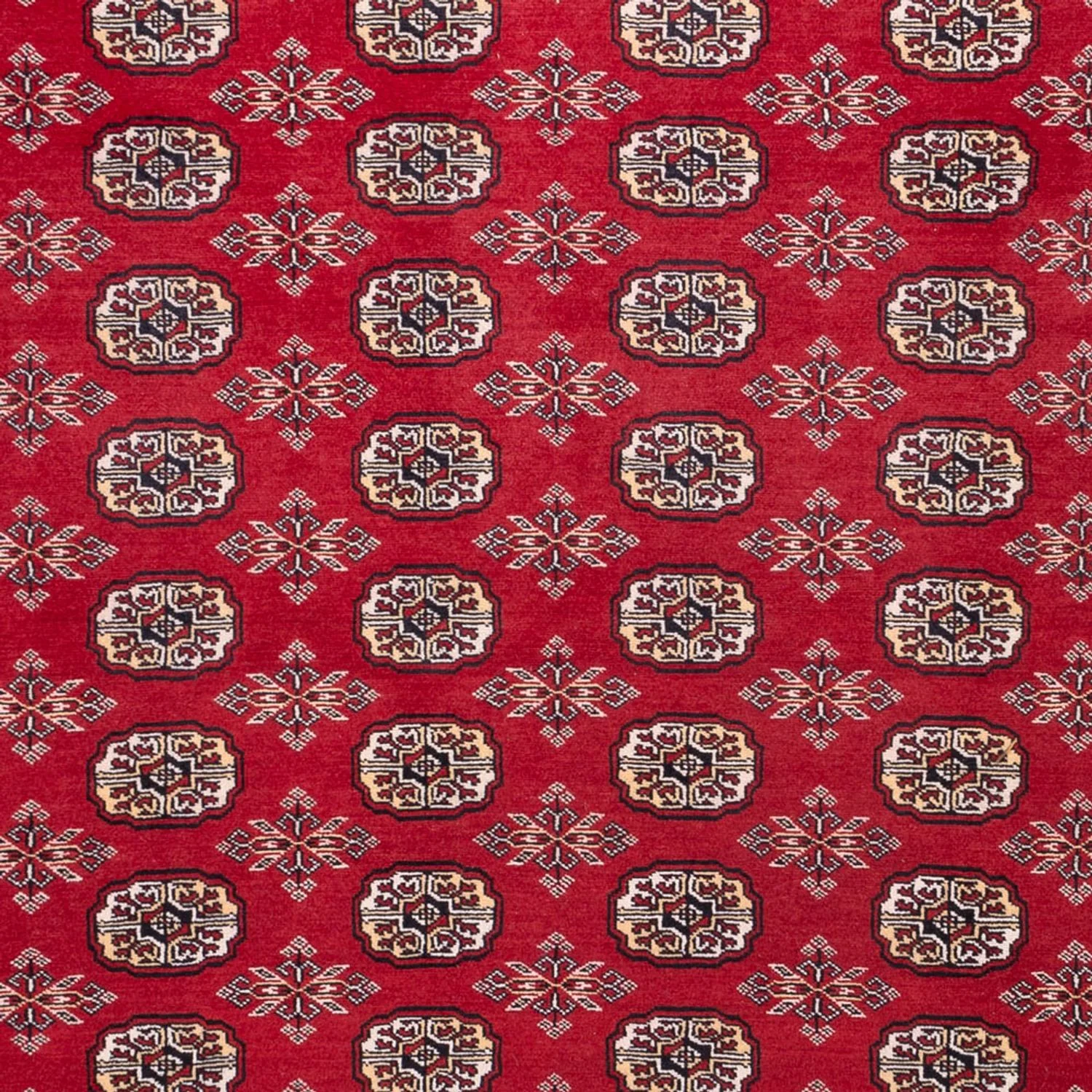 Afghan Teppich - Buchara - 322 x 248 cm - rot - Image 2
