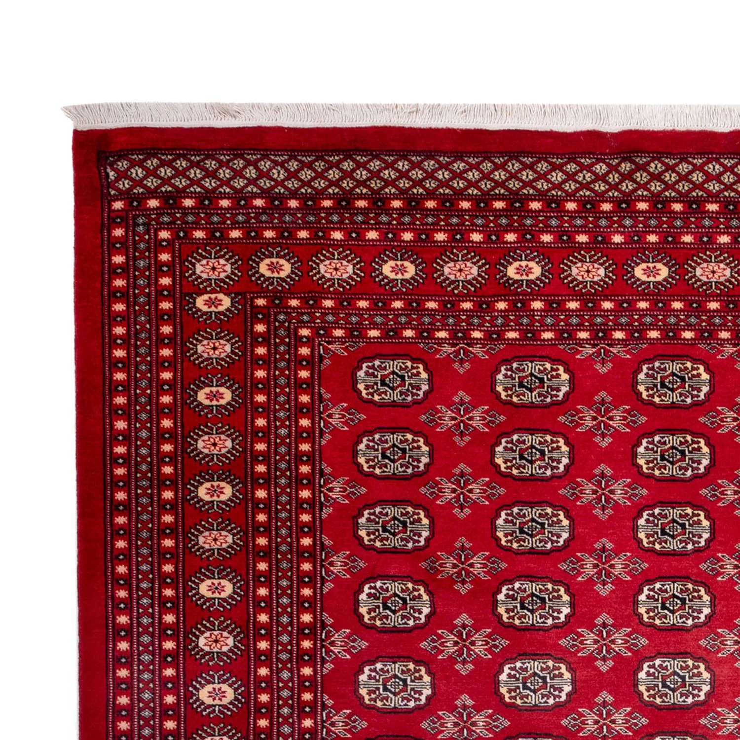 Afghan Teppich - Buchara - 322 x 248 cm - rot - Image 3