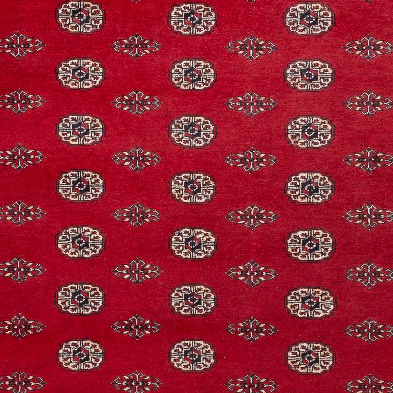 Buchara Teppich 323x248cm - Orientteppich - Image 2
