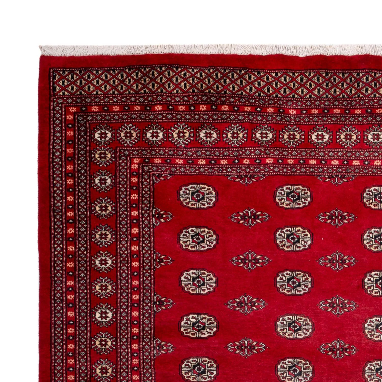 Buchara Teppich 323x248cm - Orientteppich - Image 3