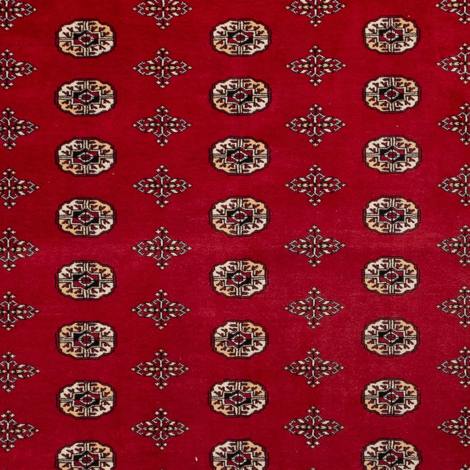 Buchara Teppich 387x276cm - Orientteppich - Image 2