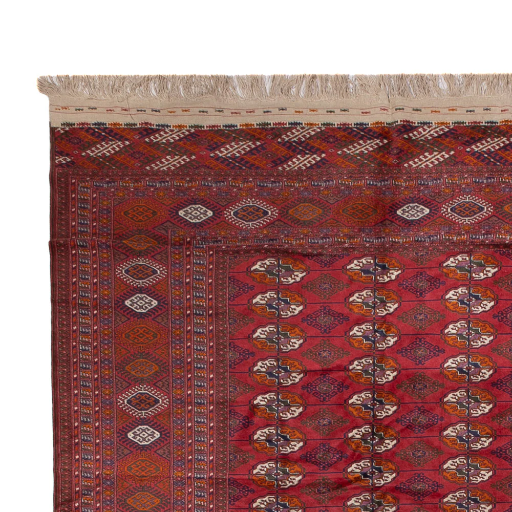 Afghan Teppich - Buchara - 505 x 308 cm - rot - Image 3
