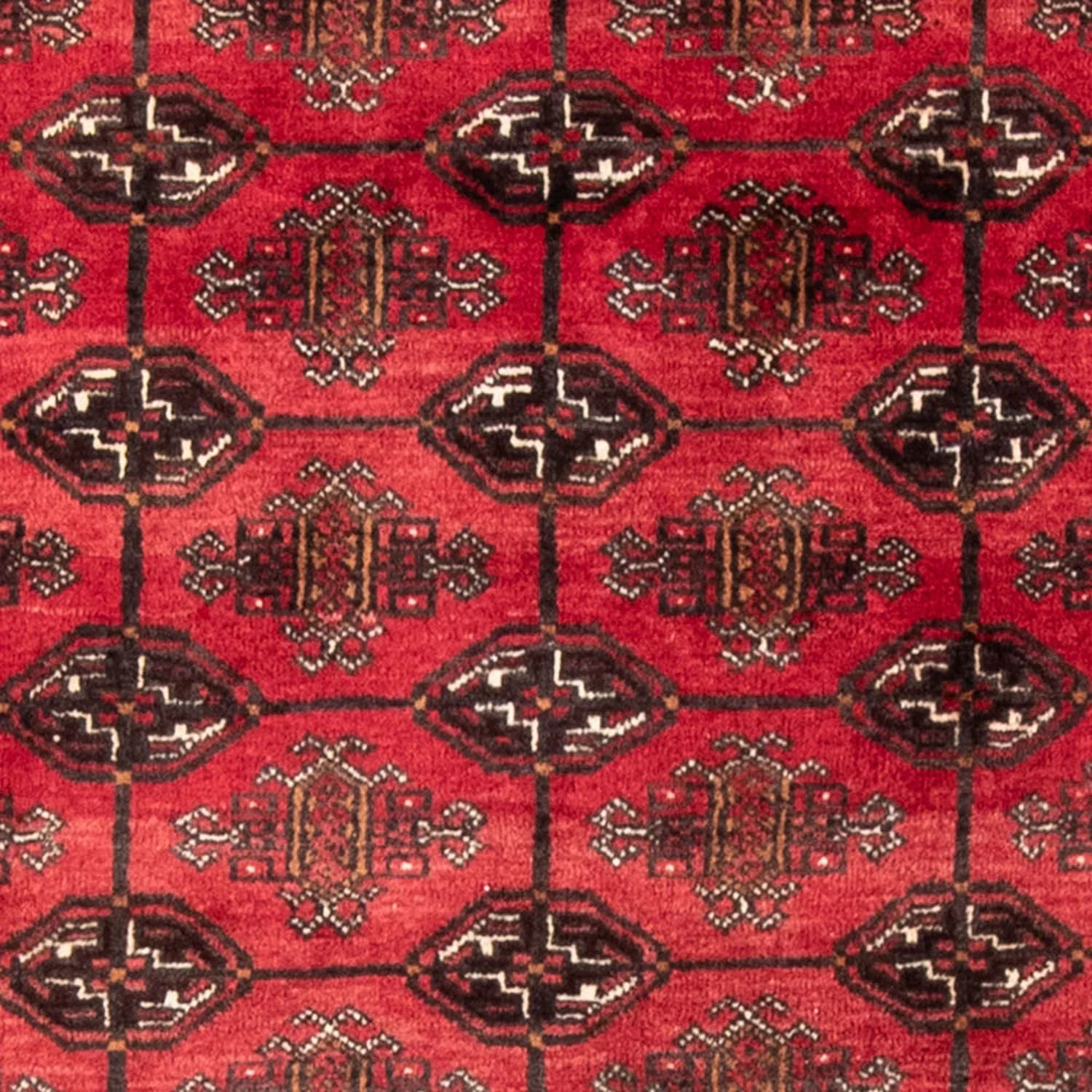 Belutsch Teppich 207 x 133 cm - rot - Image 2