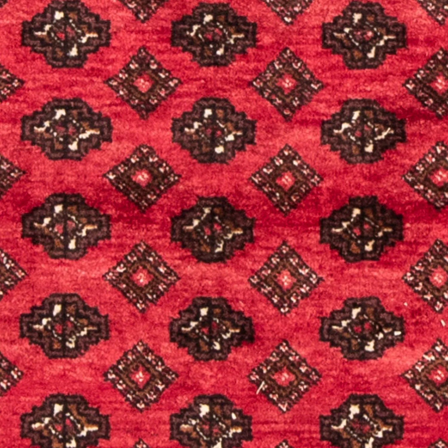 Belutsch Teppich 212 x 129 cm - rot - Image 2
