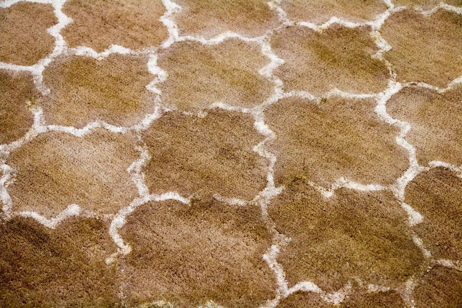 Designer Teppich 230 x 162 cm Teppich Wohnzimmer - Image 5