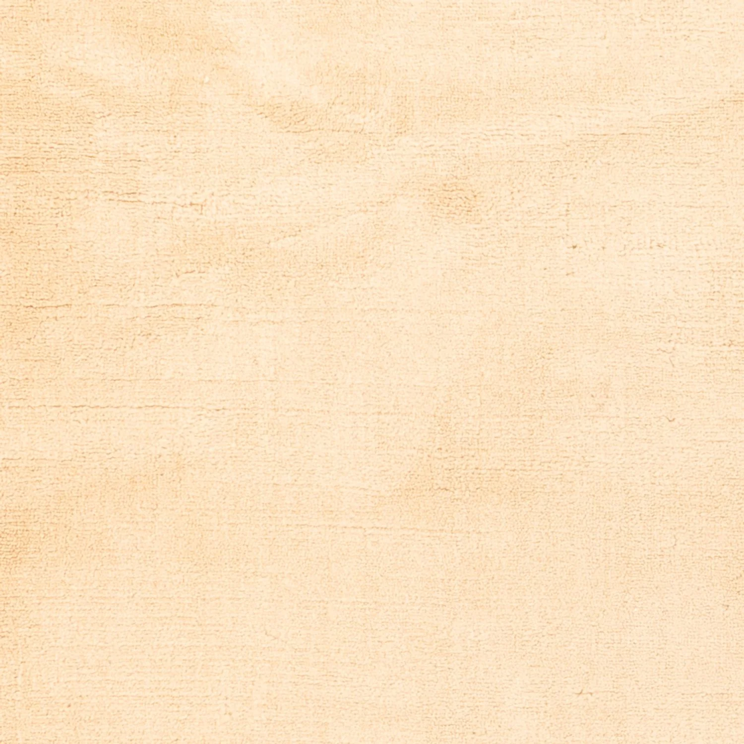Gabbeh Teppich - Loribaft Softy - 150 x 90 cm - beige - Image 2