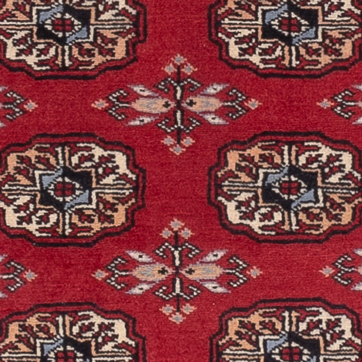 Pakistan Teppich 224x80cm - Orientteppich - Image 2