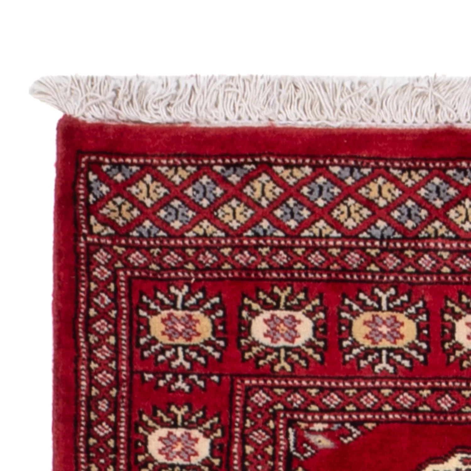 Pakistan Teppich 246x77cm - Orientteppich - Image 3