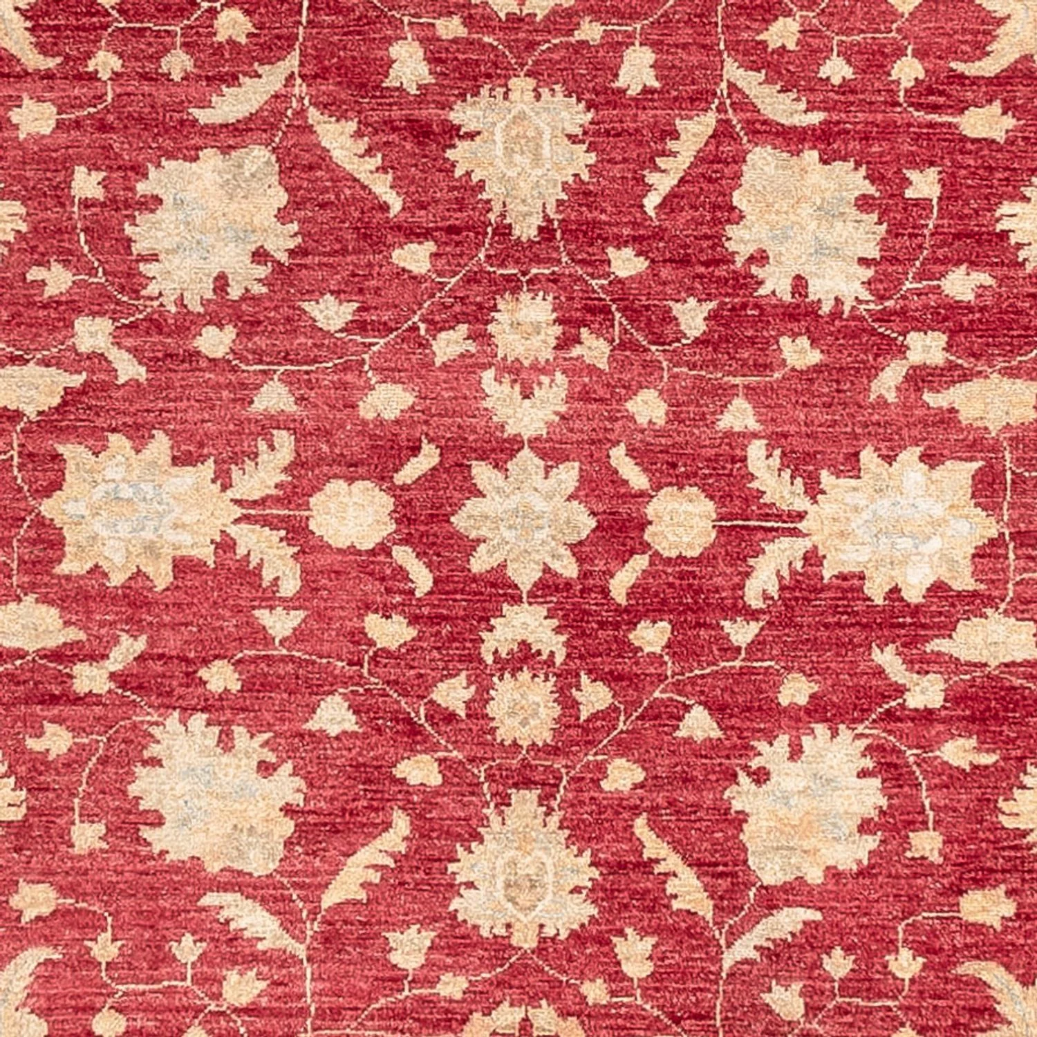 Ziegler Teppich 402x152cm - Orientteppich - Image 2
