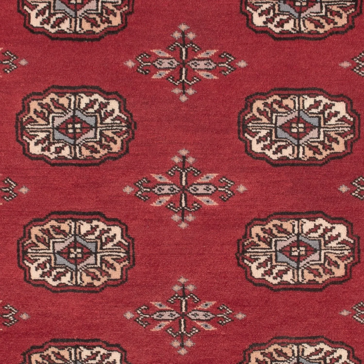 Pakistan Teppich 156x96cm - Orientteppich - Image 2