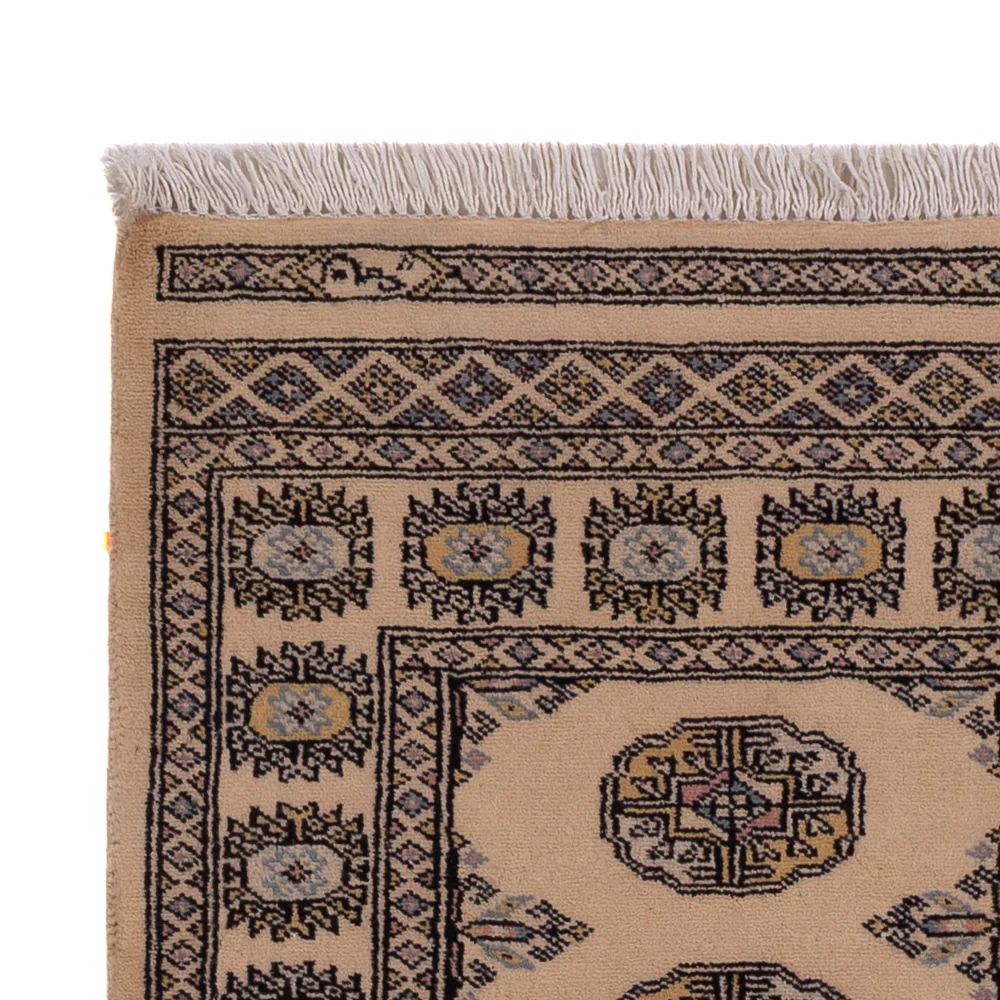 Pakistan Teppich 164x96cm - Orientteppich - Image 3