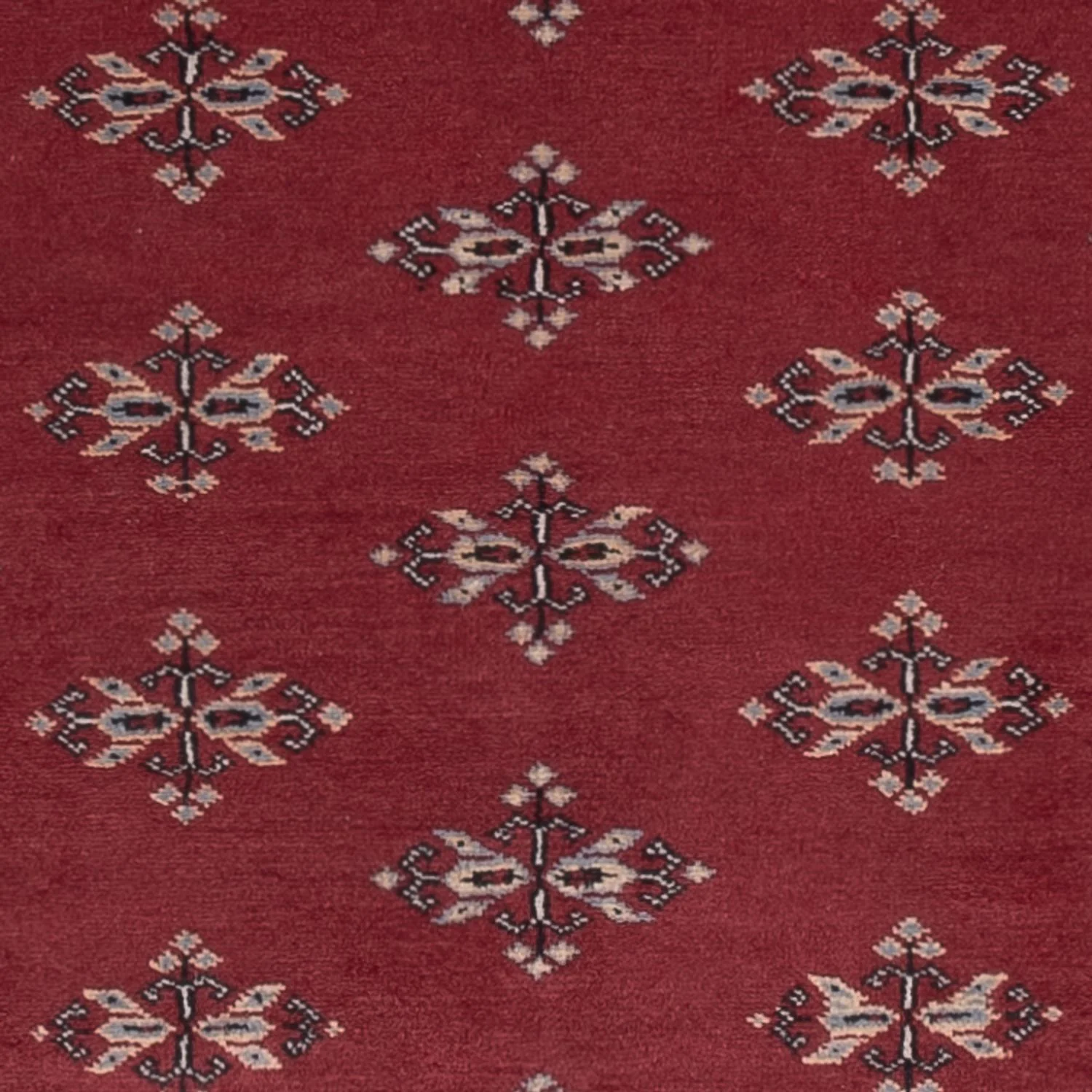 Pakistan Teppich 174x126cm - Orientteppich - Image 2