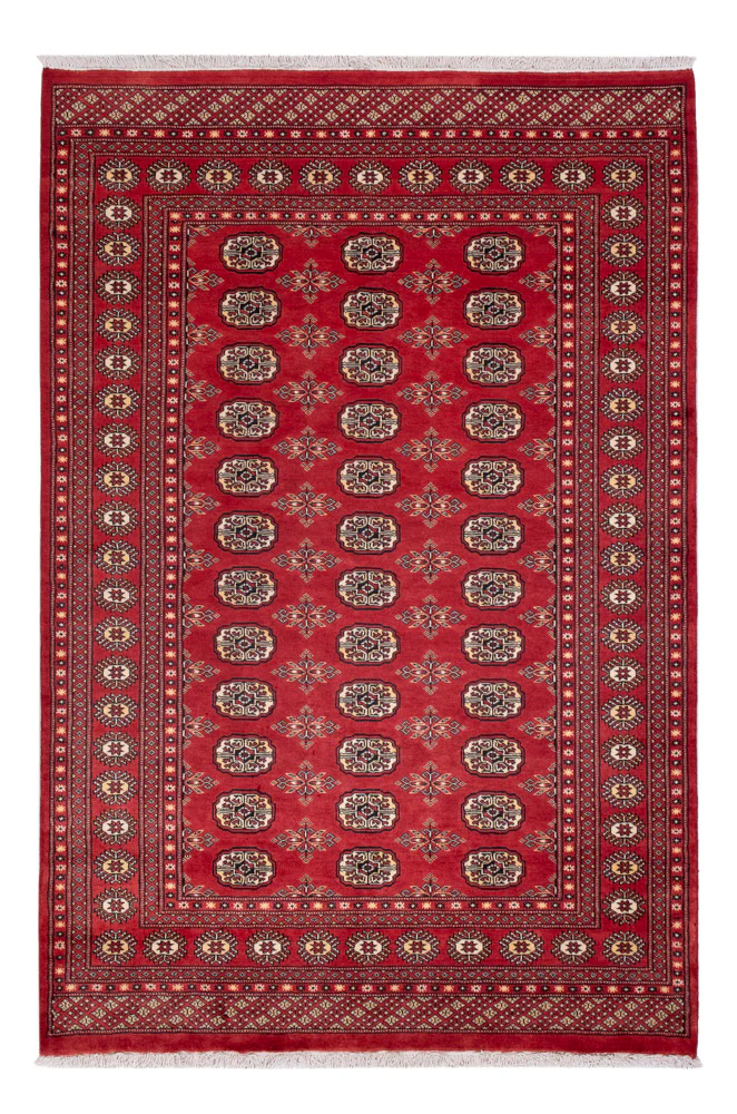 Pakistan Teppich 237x158cm - Orientteppich