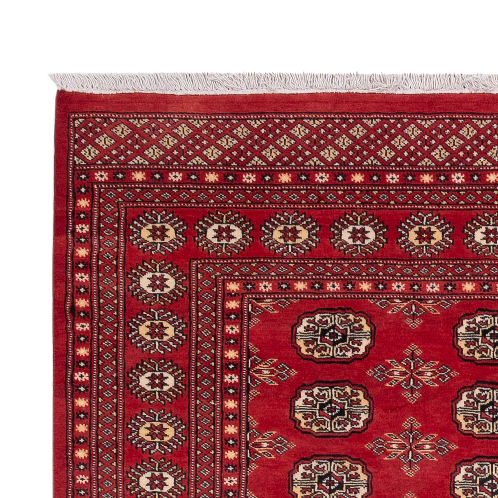 Pakistan Teppich 237x158cm - Orientteppich - Image 3