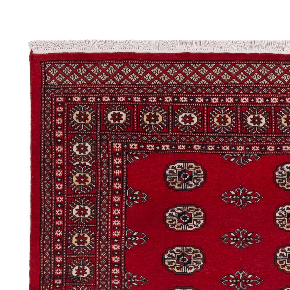 Pakistan Teppich 239x164cm - Orientteppich - Image 3