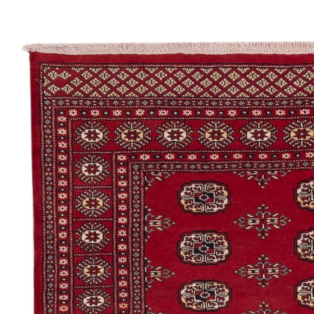 Pakistan Teppich 240x171cm - Orientteppich - Image 3