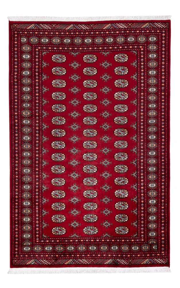 Pakistan Teppich 241x154cm - Orientteppich