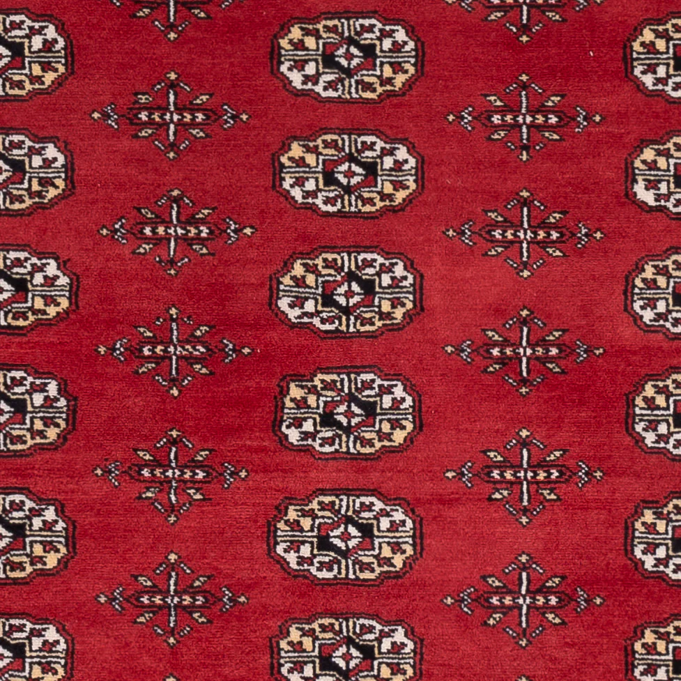 Pakistan Teppich - 243 x 168 cm - rot - Image 2