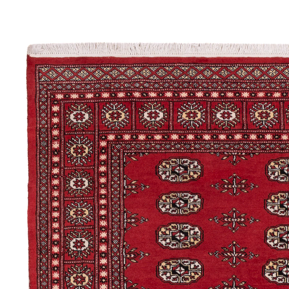 Pakistan Teppich - 243 x 168 cm - rot - Image 3