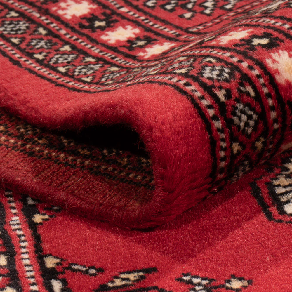 Pakistan Teppich - 243 x 168 cm - rot - Image 4