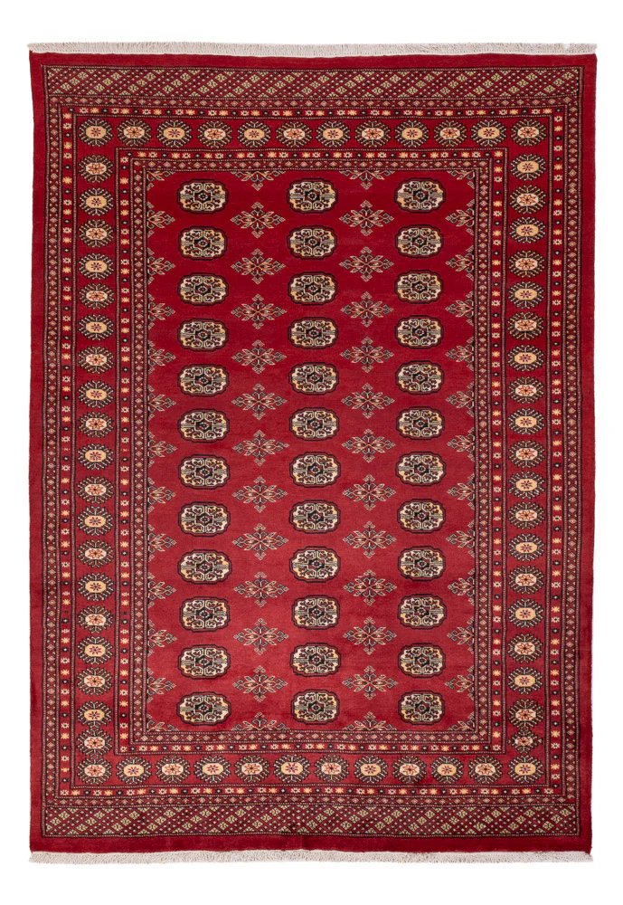 Pakistan Teppich 245x170cm - Orientteppich