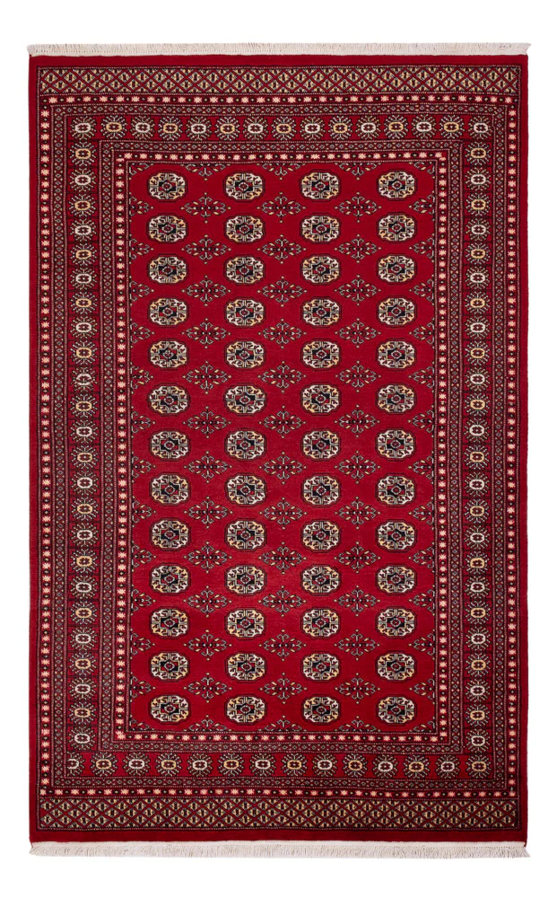 Pakistan Teppich 256x167cm - Orientteppich