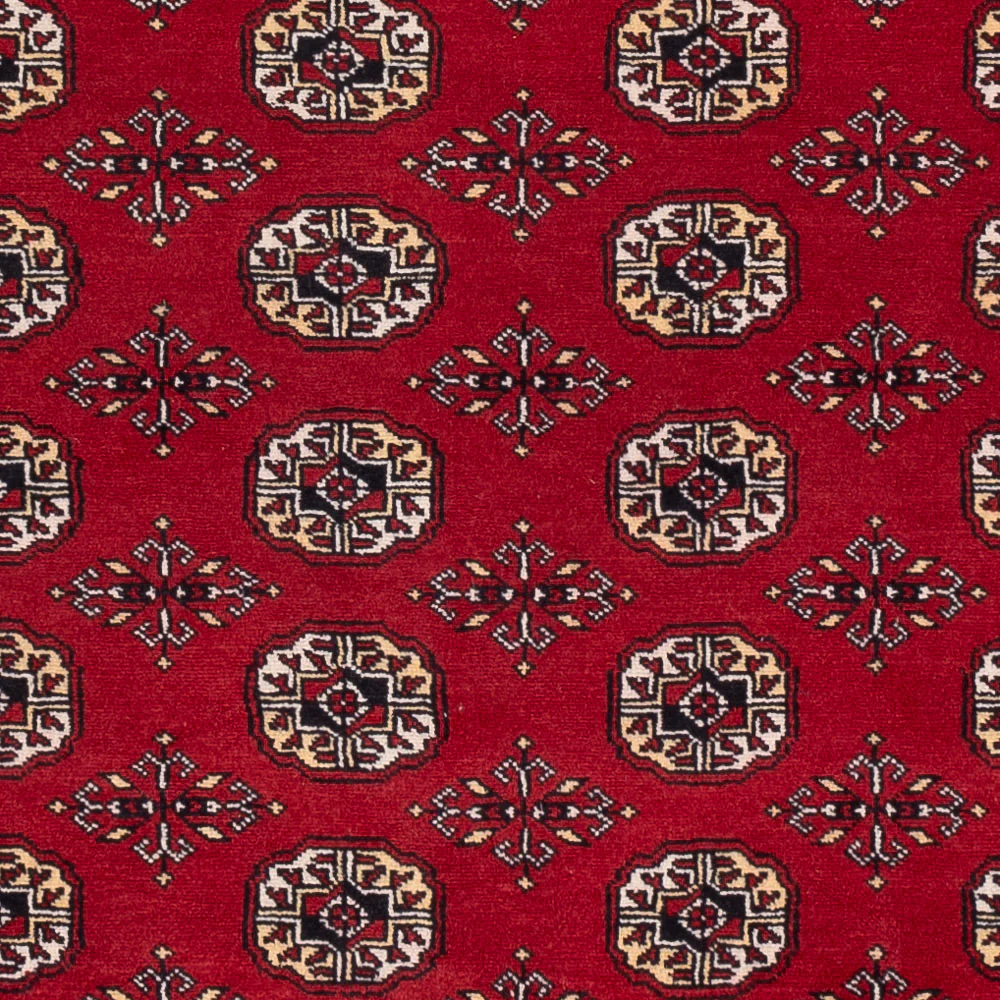 Pakistan Teppich 256x167cm - Orientteppich - Image 2