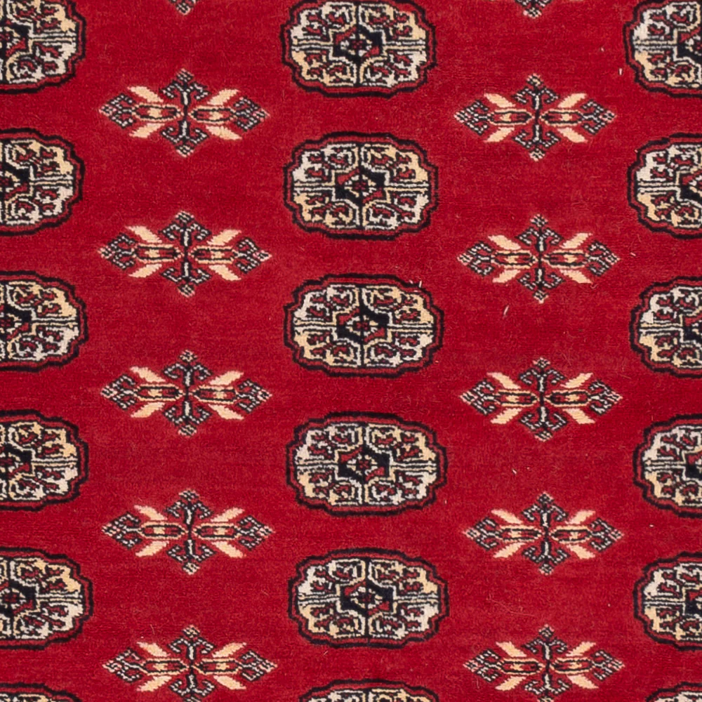 Pakistan Teppich 258x179cm - Orientteppich - Image 2
