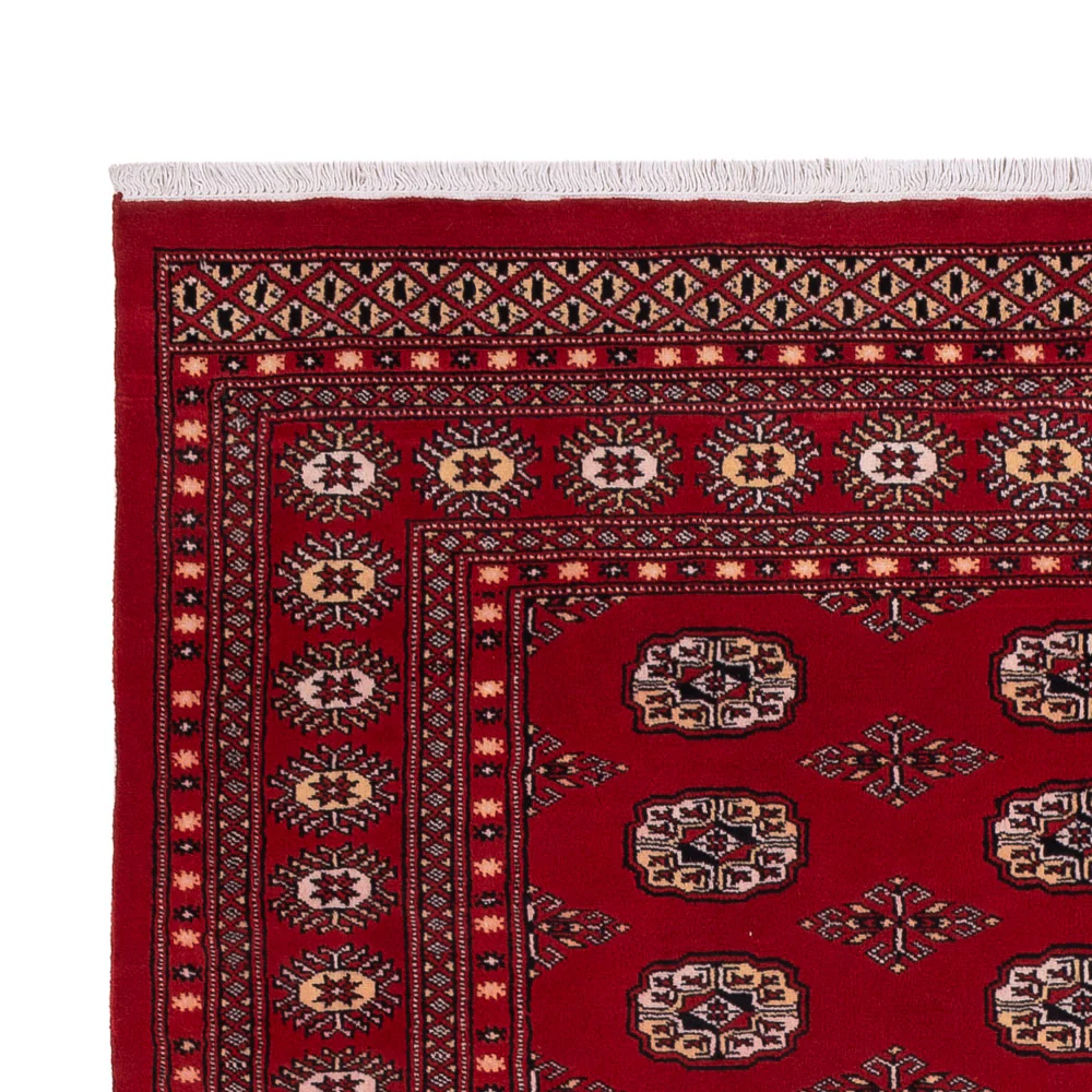 Pakistan Teppich 266x167cm - Orientteppich - Image 3
