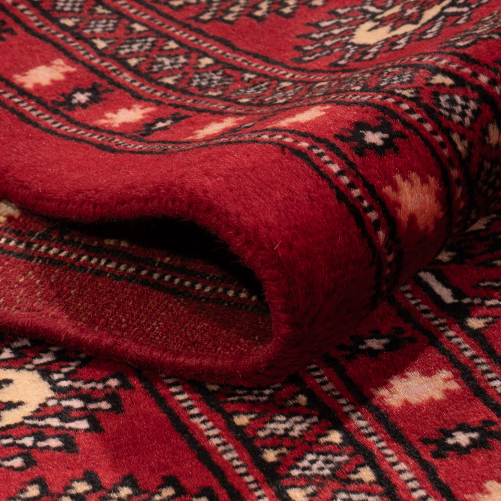 Pakistan Teppich 266x167cm - Orientteppich - Image 4