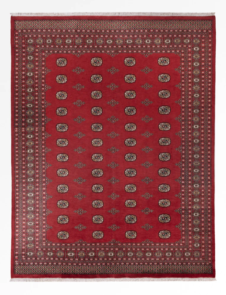 Pakistan Teppich 331x251cm - Orientteppich