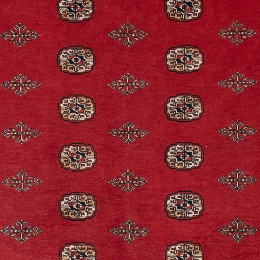 Pakistan Teppich 331x251cm - Orientteppich - Image 2