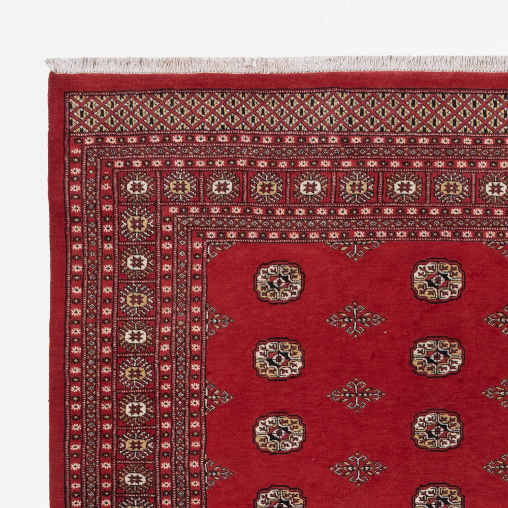 Pakistan Teppich 331x251cm - Orientteppich - Image 3