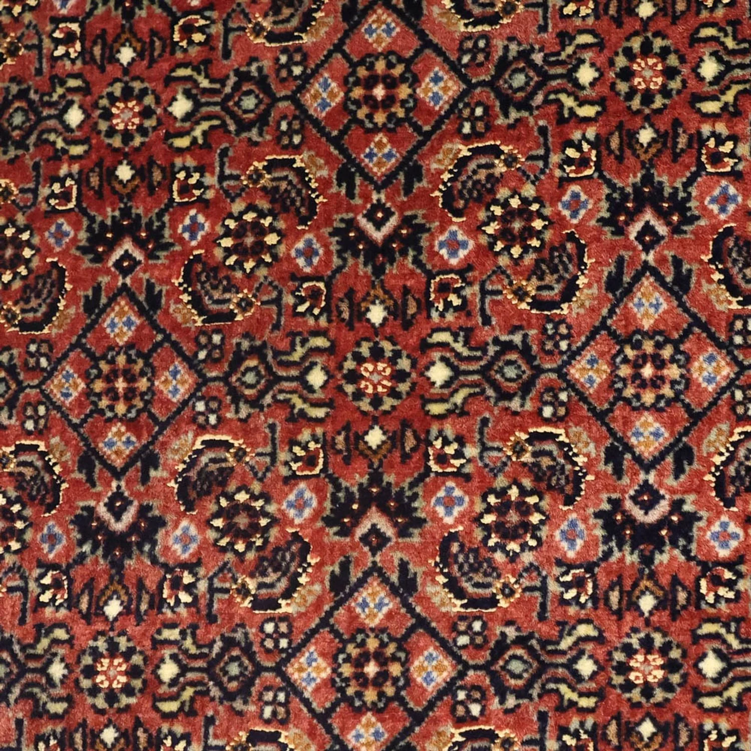 Bidjar Teppich 142x72cm - Perserteppich - Image 2
