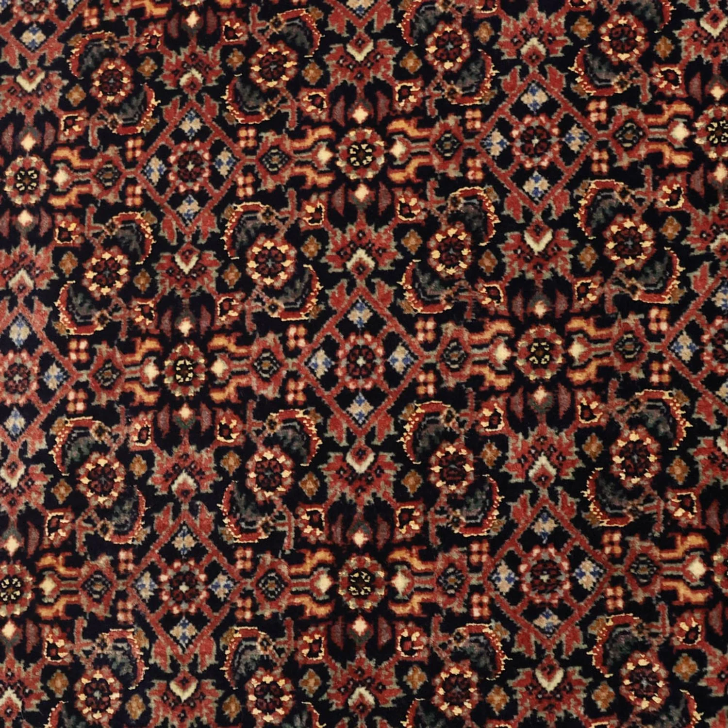 Bidjar Teppich 152x88cm - Perserteppich - Image 2