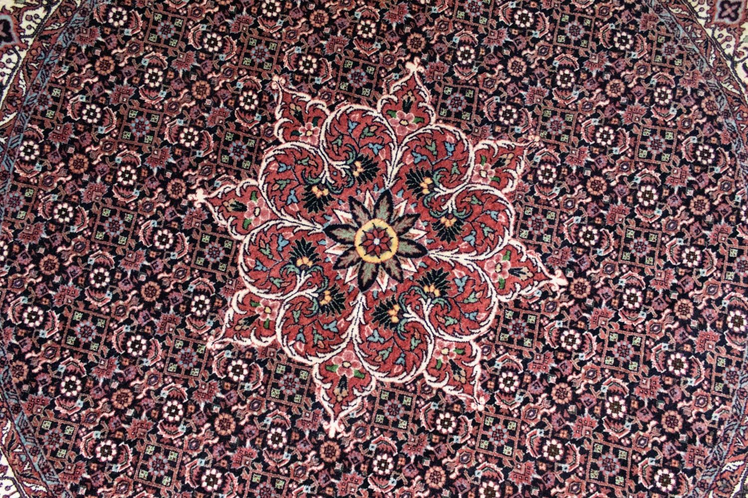 Perserteppich - Bidjar 155 x 155 cm - blau - Image 2
