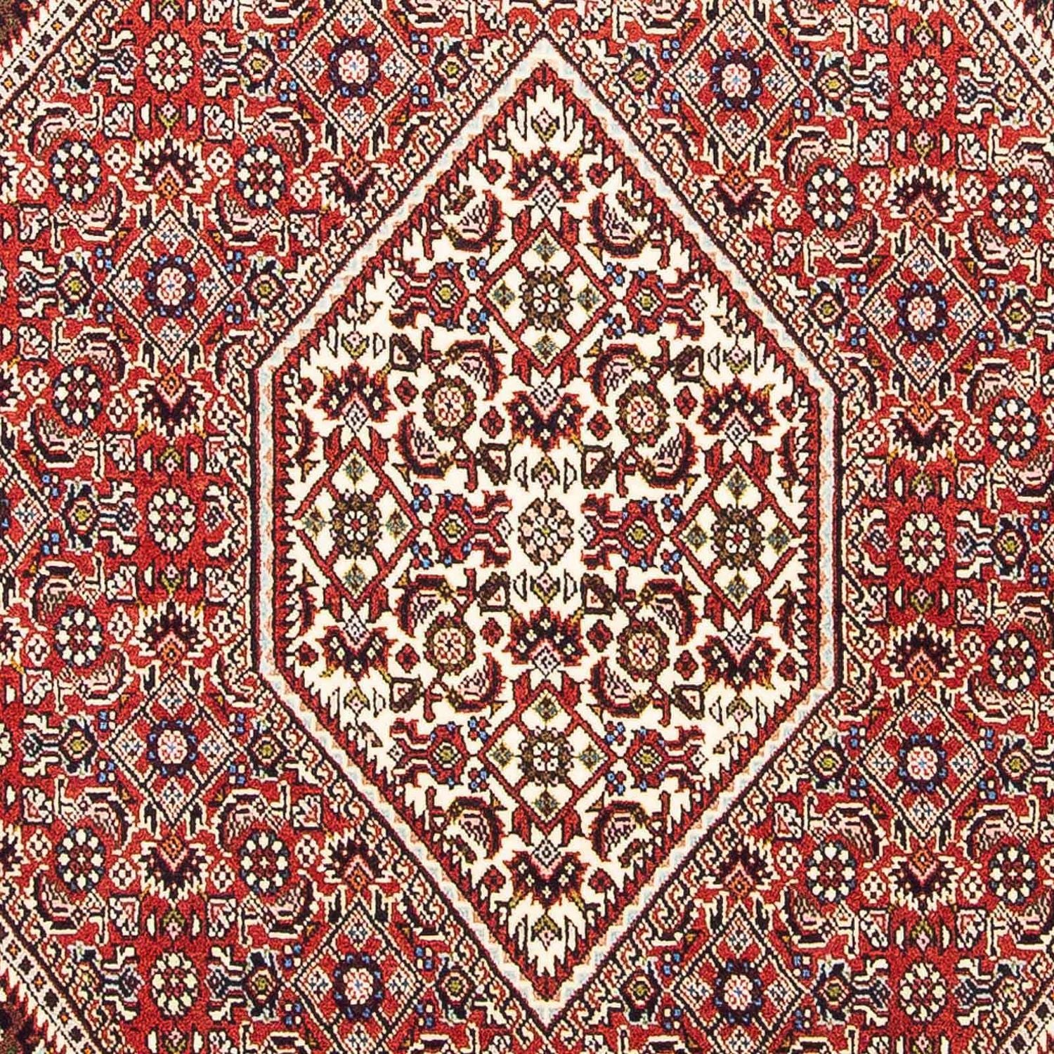 Perserteppich - Bidjar 176 x 113 cm - hellrot - Image 2