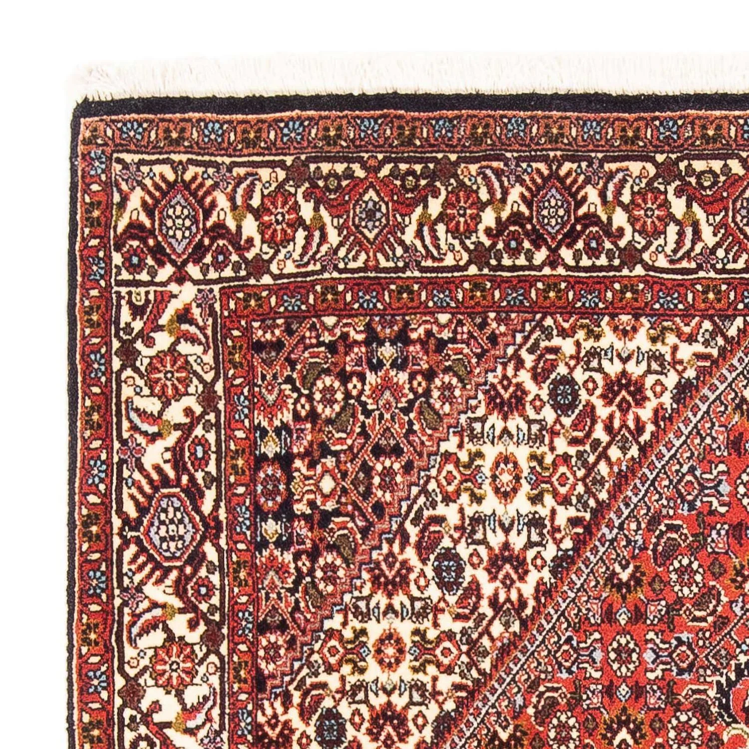 Perserteppich - Bidjar 190 x 110 cm - rot - Image 3