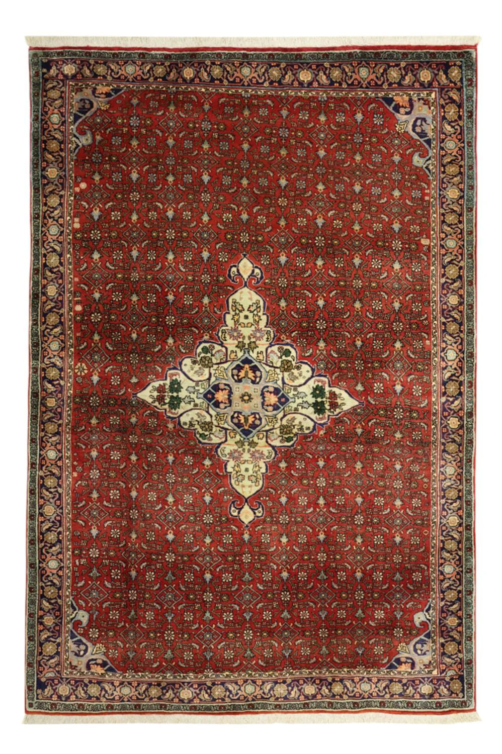 Bidjar Teppich 217x144cm - Perserteppich