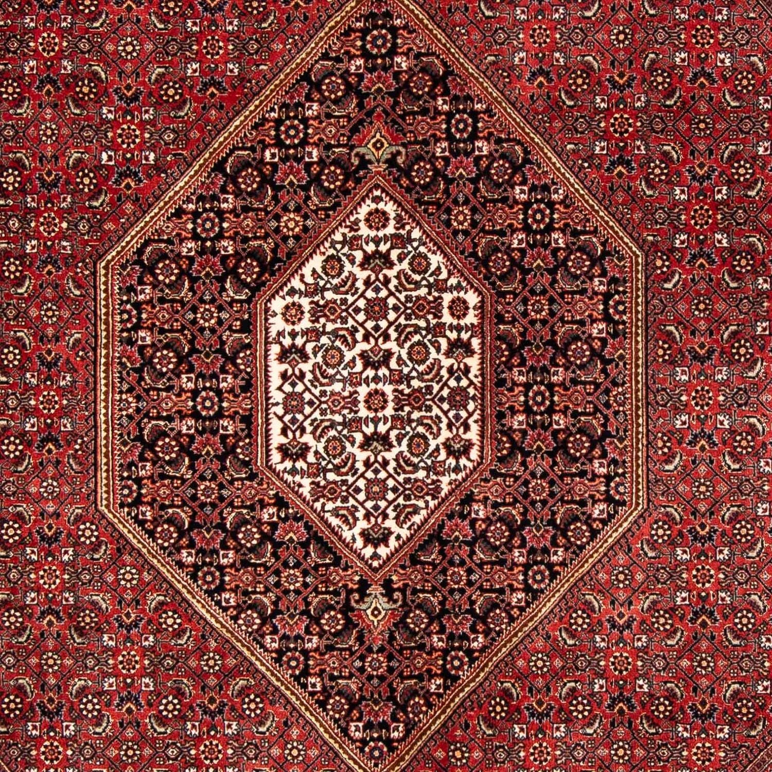 Bidjar Teppich 240x171cm - Perserteppich - Image 2