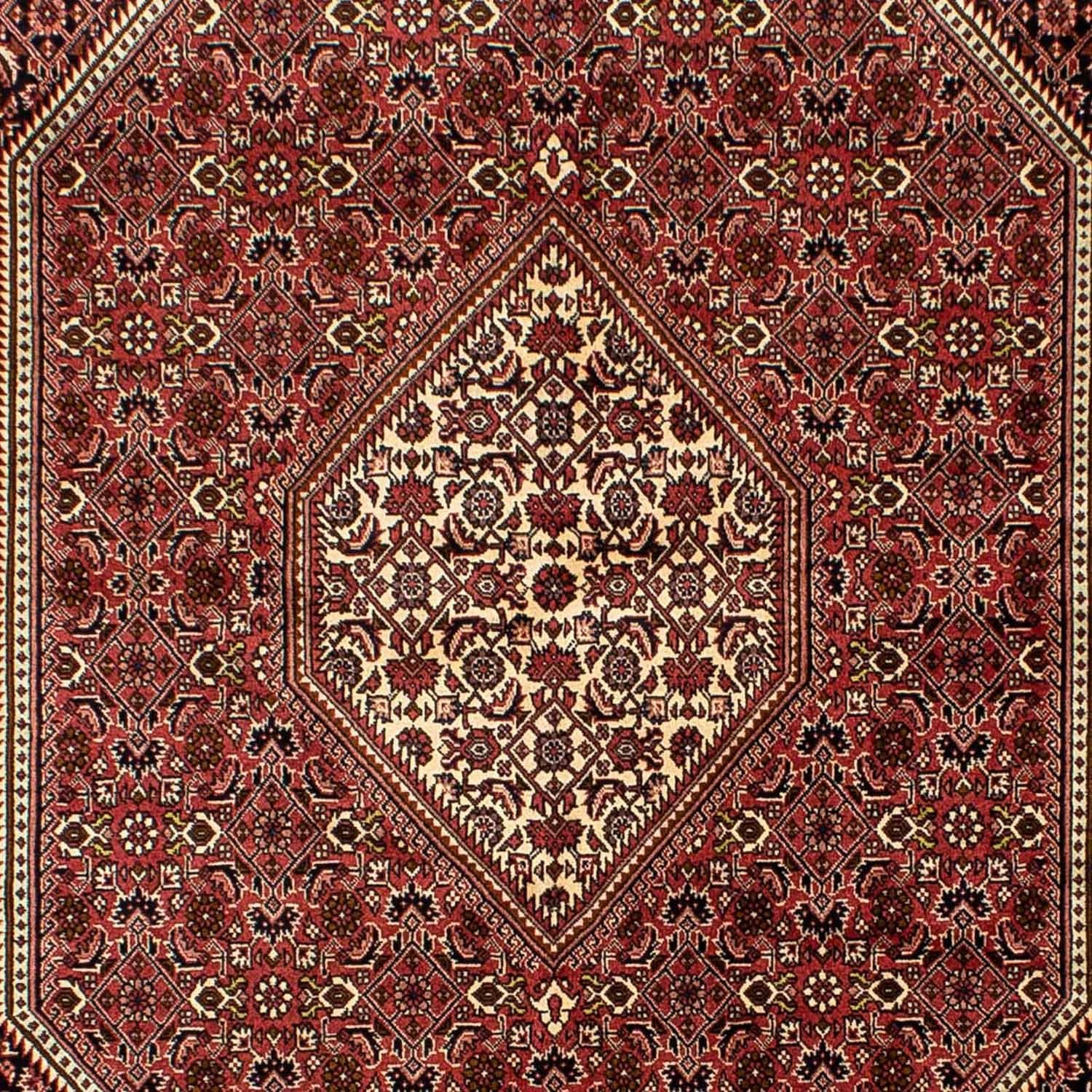 Bidjar Teppich 243x167cm - Perserteppich - Image 2