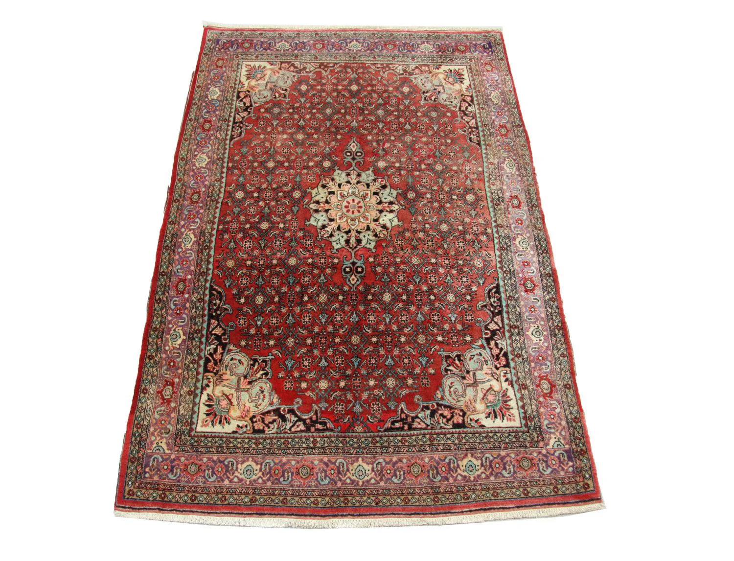 Perserteppich - Bidjar 245 x 144 cm - braun