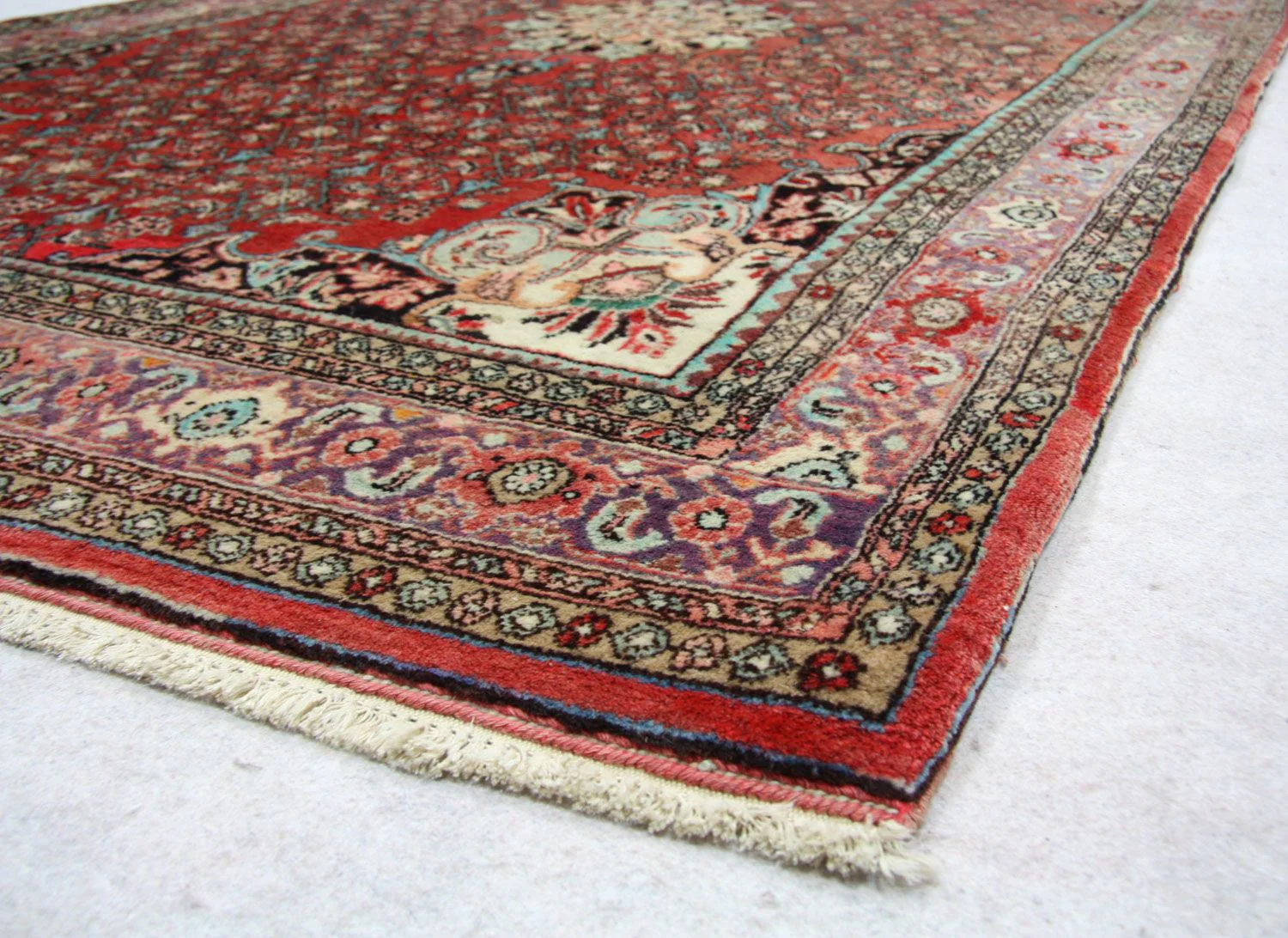 Perserteppich - Bidjar 245 x 144 cm - braun - Image 3
